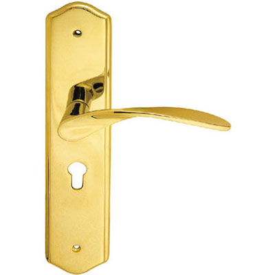 Brass Handle with Plate